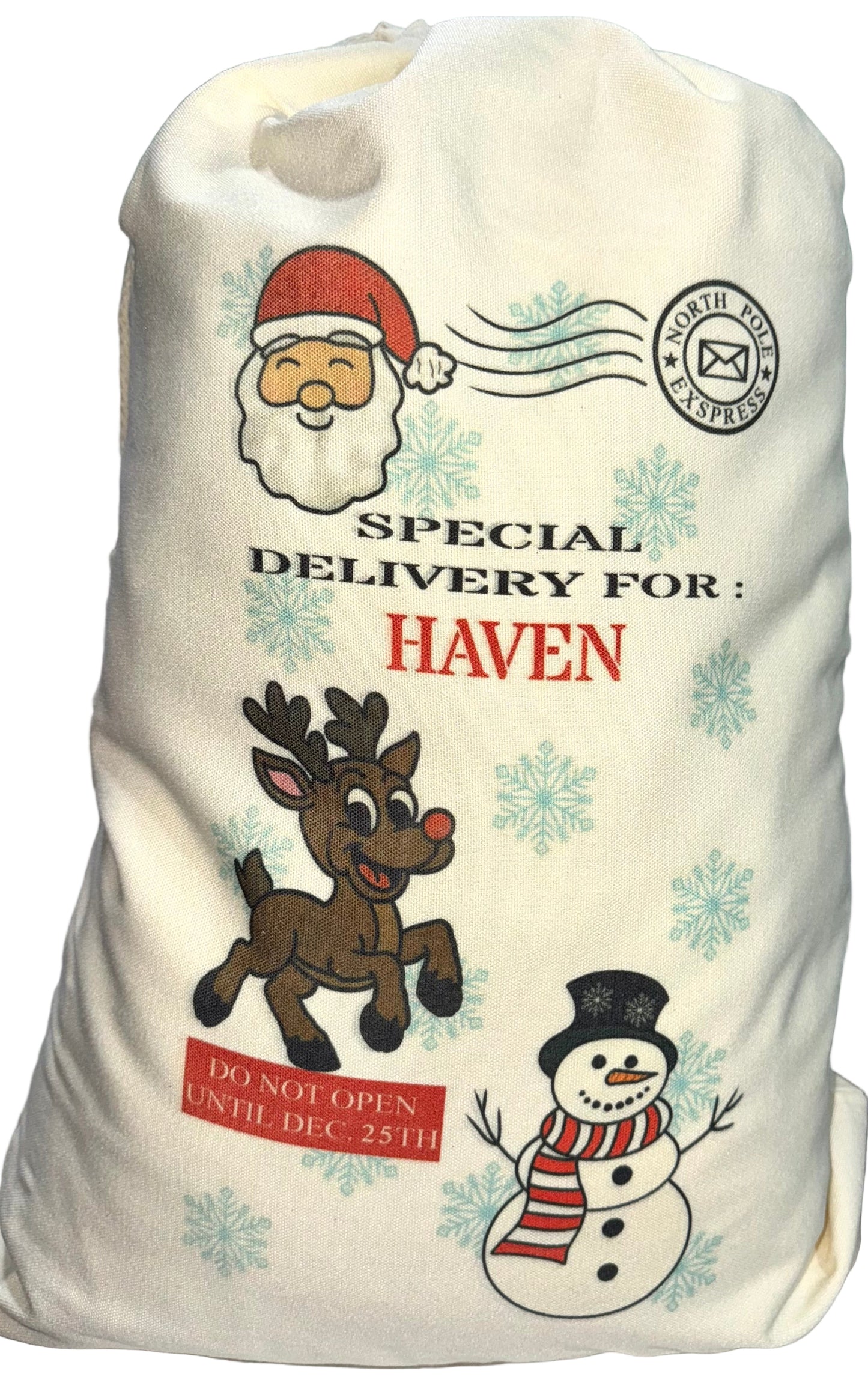 Santa Special Delivery Sack